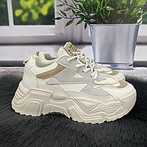 Кросівки жіночі Swin Shoes білі з сірим на об'ємній підошві демісезонні 4454, фото 5