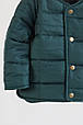 Демісезонна куртка дитяча "Gree", зелена. Топ!, фото 5