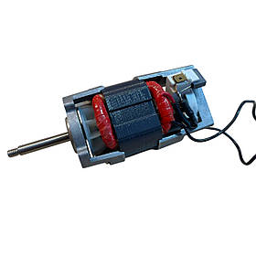 Електромотор на фен (2000W) Profinstrument, Leister triac s, Rayma, Neico