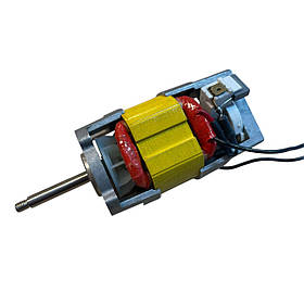 Електромотор на фен (1600W) Profinstrument, Leister triac s, Rayma, Neico