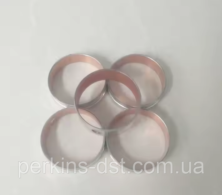 Втулки, вкладыши распредвала для двигателя BF6M 1012 EC, BF4M1012, фото 1