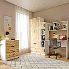 Меблі Тінейджер, комплект меблів в кімнату для підлітка: письмовий стіл, шафа, комод, фото 3