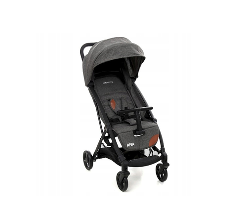 Прогулянкова коляска Coto Baby Riva, фото 1