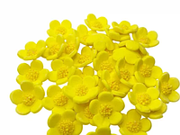 Декор кондитерський Веснянка d25 мм 35 шт.