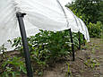Теплиця 15 м 60г/м2 міні-парники SHADOW з агроволокна, фото 4