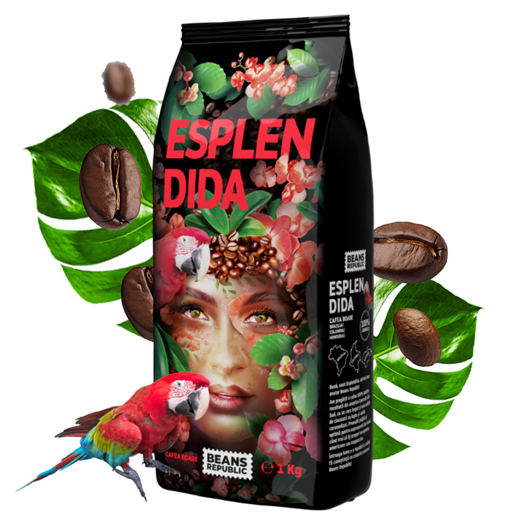 Кава в зернах Beans Republic ESPLENDIDA 100% Арабіка, 1000 г