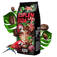 Кава в зернах Beans Republic ESPLENDIDA 100% Арабіка, 1000 г