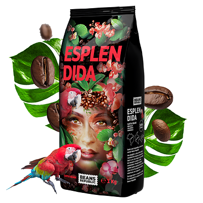 Кава в зернах Beans Republic ESPLENDIDA 100% Арабіка, 1000 г