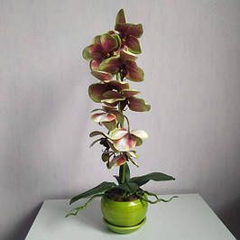 Штучні орхідеї