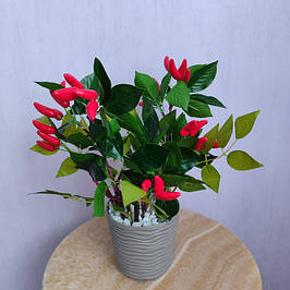 Штучні рослини