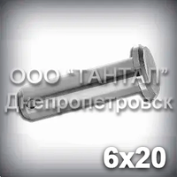 Палець — вісь 6х20 DIN 1444 В (ГОСТ 9650-80 тип 6) ISO 2341 В сталевий оцинкований