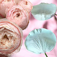 Вайнер пелюстки троянди, троянда Остіна, півонія, півонієподібна троянда. З 2 частин, із вигином.