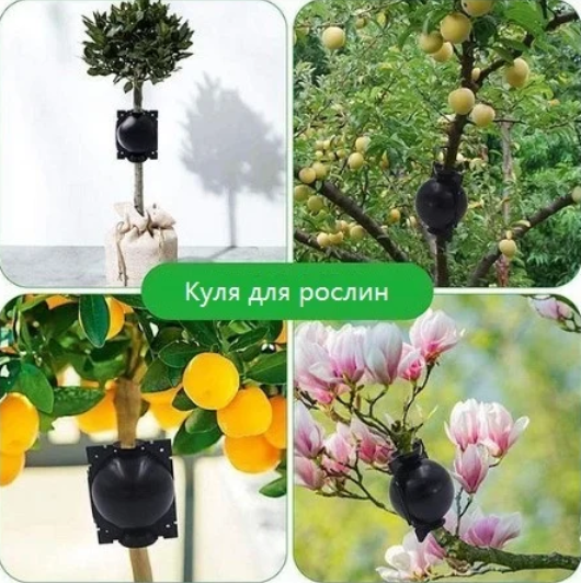 Куля для укорінення рослин для дбайливого вирощування коріння рослин S - 12 г, 10 шт