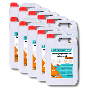 Антисептик для рук 75% спирта 5 л (комплект 10 шт)