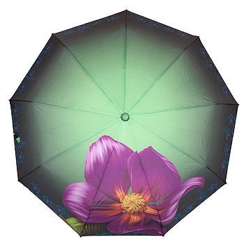 Парасолька Автомат Жіноча поліестер Susino 3092-2.Купити жіночі парасольки гуртом і в роздріб в Україні