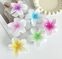 Заколка-крабік квітка