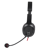 Дротова аудіогарнітура Tracer Office V2 (TRASLU46705), фото 4