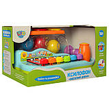 Ксилофон дитячий LIMO TOY HOLA Веселий дзвін 9199 якість логика с молотком, фото 2