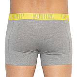 Труси-боксери Puma YD BOLD STRIPE BOXER 2P сірий, жовтий Чол L, фото 6