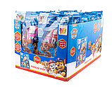 Фруктовий лід Sweet`n`Fun edition Paw Patrol Frezze Pops 500 g, фото 6