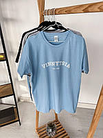 Футболка Мужская Голубая С Принтом Vinnytsia Базовая Ador Футболка Чоловіча Блакитна З Принтом Vinnytsia