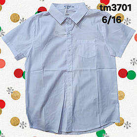 Сорочка на хлопчика оптом, 6-16 років, № tm3701