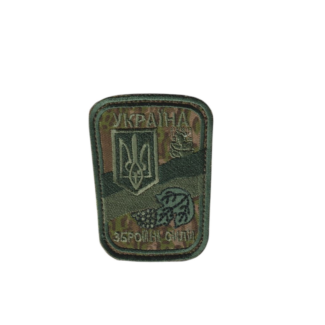 Шеврон військовий / армійський, ЗБРОЙНІ СИЛИ УКРАЇНИ, на фоні варан, на липучці, ЗСУ. 8 см*6,5 см, фото 1