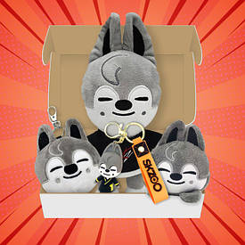 Подарунковий іграшковий бокс Stray Kids