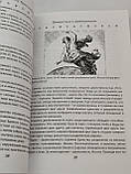 Книга Практична нумерологія. Галієва Галія( Book ), фото 5