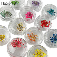 Набір із сухоцвітами №03