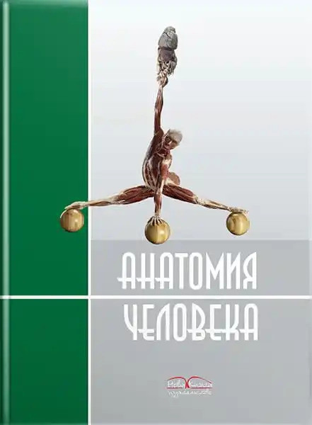 Анатомія людини. 2-е видання. Черкасів В.Г., Кравчук С.Ю.