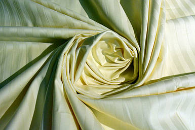 Сатин страйп Шампань