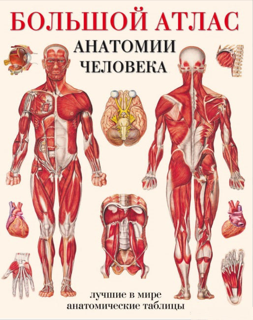 Великий атлас анатомії людини. Найкращі у світі анатомічні таблиці