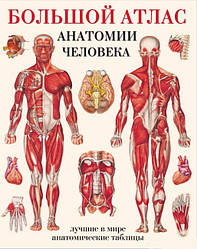 Великий атлас анатомії людини. Найкращі у світі анатомічні таблиці