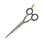 Ножиці професійні для стриження Katachi Basic Cut 2-D класичні (Розмір 5,5)