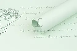 Калька в листах 65мкм (P.XXY-013)