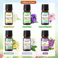 Ефірні масла набір EUQEE 1 натуральні преміум олії 6шт аромамасла для зволожувача дифузора лазні ванни свічок подарунок