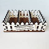 Міні-бар Мої 6 соток (Сувенір) pn0056, фото 5