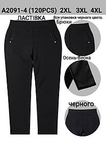 Жіночі штани "Ласточка" №А2091-4 р.2XL,3XL,4XL (48-54)