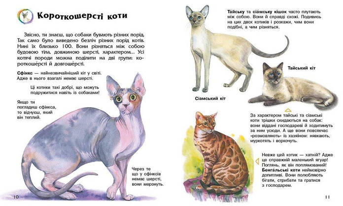 Книга для дітей " Коти. Енциклопедія дошкільника." | Ранок, фото 4