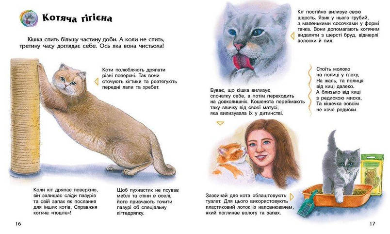 Книга для дітей " Коти. Енциклопедія дошкільника." | Ранок, фото 3