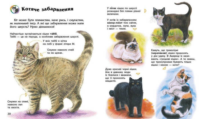 Книга для дітей " Коти. Енциклопедія дошкільника." | Ранок, фото 5