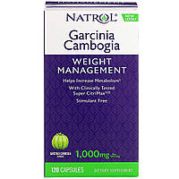 Гарцинія, зниження апетиту, Garcinia Cambogia, Natrol, екстракт, 1000 мг, 120 капcул