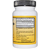 Епікор, EpiCor, Healthy Origins, 500 мг, 30 вегетаріанських капсул, фото 2