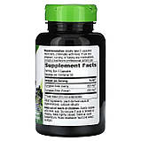 Чорна бузина, Black Elderberry, Nature's Way, 1150 мг, 100 веганських капсул (575 мг у капсулі), фото 2