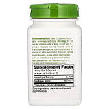 Верба, кора, Willow Bark, Nature's Way, 680 мг, 100 веганських капсул (340 мг на капсулу), фото 2