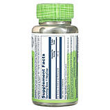 Шоломниця, екстракт, Blue Skullcap, Solaray, для веганів, 425 мг, 100 капсул, фото 2