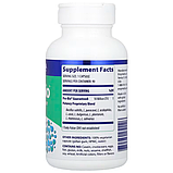 Пробіотик, Guaranteed Potency Probiotic, Enzymedica, 90 капсул, фото 2