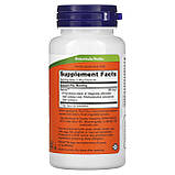 Зниження кортизолу, релора, Relora, Now Foods, 300 мг, 60 вегетаріанських капсул, фото 2