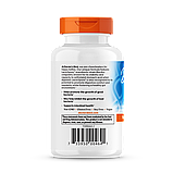 Пробіотики для травлення, Digestive Health, Probiotic 2 Billion with LactoSpore, Doctor's Best, 2 млрд КУО, 60 веганських капсул, фото 3